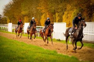 Autumn Gallops