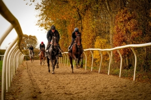 More racing than Autumn Gallops